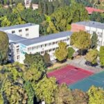 20 de platani in curtea liceului jean monnet si 3 000 de arbori plantati in sectorul 1 numai in aceasta primavara alti 3 000 in toamna 6a0ea007ac17f
