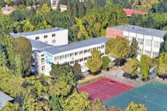 20 de platani in curtea liceului jean monnet si 3 000 de arbori plantati in sectorul 1 numai in aceasta primavara alti 3 000 in toamna 6a0ea007ac17f