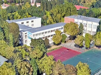 20 de platani in curtea liceului jean monnet si 3 000 de arbori plantati in sectorul 1 numai in aceasta primavara alti 3 000 in toamna 6a0ea007ac17f