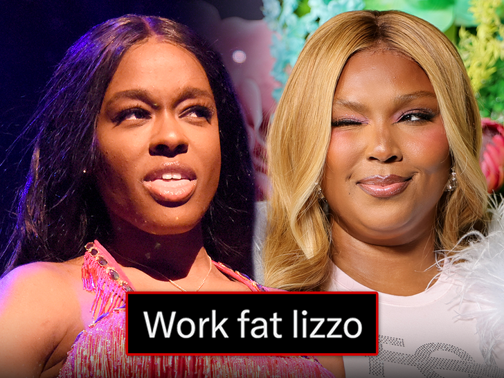 lizzo says being called fat by azealia banks is endearing 6a089aa13f78e
