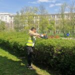 primaria sectorului 1 scoate la licitatie intretinerea spatiilor verzi pana la 162 de milioane de euro pentru 4 ani suma poate creste cu 50 pana la final 6a0ea11101a4e