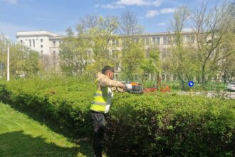 primaria sectorului 1 scoate la licitatie intretinerea spatiilor verzi pana la 162 de milioane de euro pentru 4 ani suma poate creste cu 50 pana la final 6a0ea11101a4e