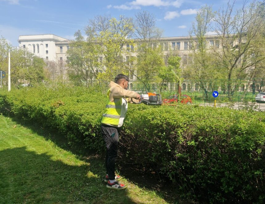 primaria sectorului 1 scoate la licitatie intretinerea spatiilor verzi pana la 162 de milioane de euro pentru 4 ani suma poate creste cu 50 pana la final 6a0ea11101a4e