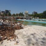 chestionar pentru strandul tineretului bucurestenii sunt intrebati cum vor sa arate viitorul parc sportiv anuntat de primarul george tuta inca din 2024 6a3cc4df68fdb