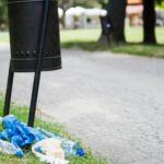 clean up comunitar diseara in parcul cismigiu bucurestenii sunt asteptati la ora 19 la intrarea cu ceas sa curete prin gradina din inima orasului 6a2fc0190ed08