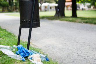 clean up comunitar diseara in parcul cismigiu bucurestenii sunt asteptati la ora 19 la intrarea cu ceas sa curete prin gradina din inima orasului 6a2fc0190ed08