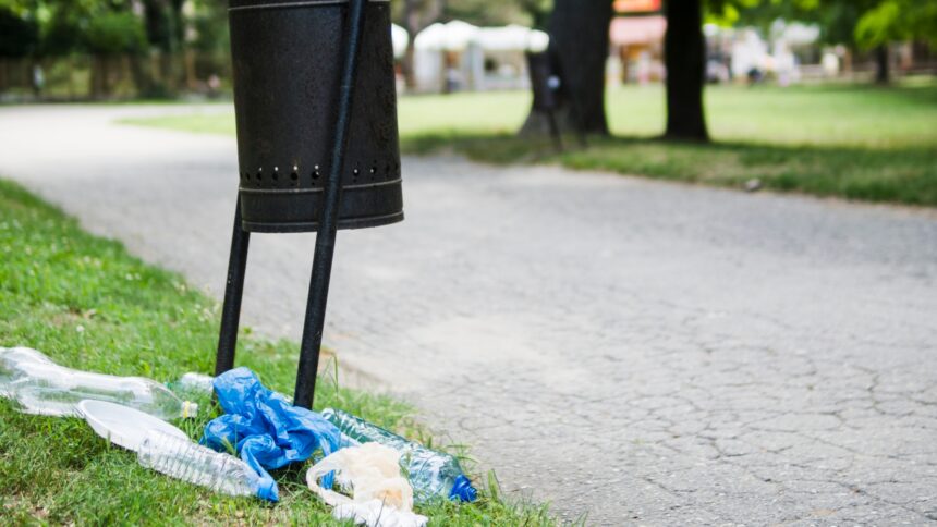 clean up comunitar diseara in parcul cismigiu bucurestenii sunt asteptati la ora 19 la intrarea cu ceas sa curete prin gradina din inima orasului 6a2fc0190ed08