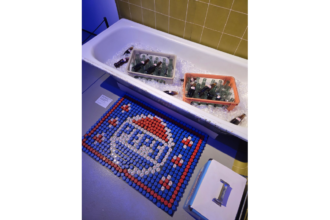 cum a construit pepsi o capsula a timpului la art safari cu sucuri racite in cada si reclame retro 6a203639041ad