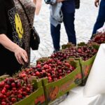 festivalul cireselor si al capsunilor in piata matache in acest weekend 6a24724d1780d