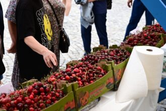 festivalul cireselor si al capsunilor in piata matache in acest weekend 6a24724d1780d