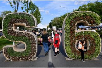 foto spectacole de teatru si magie la west side flower fest weekendul acesta ce activitati sunt pregatite pentru cei mici la festivalul florilor din parcul drumul taberei 6a1d5afcef67d
