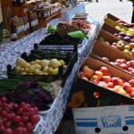 sectorul 1 ar putea avea mai multe piete volante si targuri parteneriat cu academia de stiinte agricole pe masa consiliului local 6a1d8530708aa