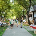 targ de sanziene la muzeul satului pe 24 iunie vor fi spectacole cu muzica si dans atelierele artistice sunt gratuite dar locurile sunt limitate 6a26d0a5b224d