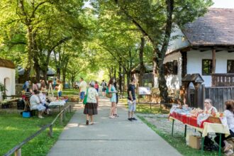 targ de sanziene la muzeul satului pe 24 iunie vor fi spectacole cu muzica si dans atelierele artistice sunt gratuite dar locurile sunt limitate 6a26d0a5b224d