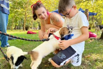 un nou targ de adoptii aspa va avea loc in parcul ior echipa de robotica vicyber ftc va veni cu roboti si alte activitati interesante f0965d2c