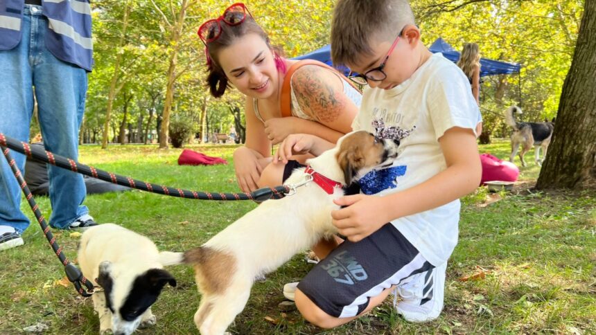 un nou targ de adoptii aspa va avea loc in parcul ior echipa de robotica vicyber ftc va veni cu roboti si alte activitati interesante f0965d2c