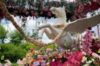 west side flower fest e in acest weekend in parcul drumul taberei peste 100 000 de flori si zeci de spectacole ii asteapta pe bucuresteni programul complet 6a2141682c45d