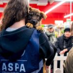 blanosii de la aspa ne asteapta la un nou targ de adoptii la parklake are loc vineri in cadrul evenimentului xiaomi pet cafe d82b3751