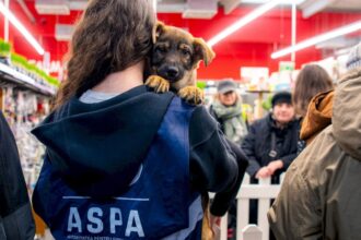 blanosii de la aspa ne asteapta la un nou targ de adoptii la parklake are loc vineri in cadrul evenimentului xiaomi pet cafe d82b3751