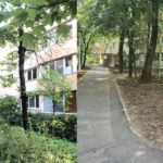 de ce taie primaria sectorului 1 copacii din pajura nu diminueaza suprafata spatiului verde existent cetatenii acuza un dezastru ecologic 6a5a284f43252