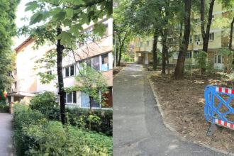 de ce taie primaria sectorului 1 copacii din pajura nu diminueaza suprafata spatiului verde existent cetatenii acuza un dezastru ecologic 6a5a284f43252