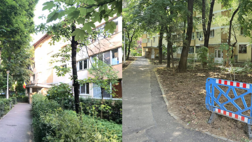 de ce taie primaria sectorului 1 copacii din pajura nu diminueaza suprafata spatiului verde existent cetatenii acuza un dezastru ecologic 6a5a284f43252