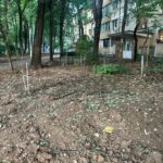 dezbatere despre problemele locuitorilor din cartierul pajura la primaria sectorului 1 s au taiat pur si simplu gardurile vii nu a existat nicio consultare cu cetatenii 6a60cde44341f
