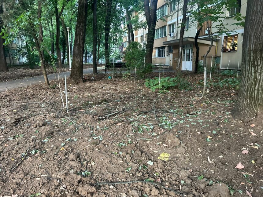 dezbatere despre problemele locuitorilor din cartierul pajura la primaria sectorului 1 s au taiat pur si simplu gardurile vii nu a existat nicio consultare cu cetatenii 6a60cde44341f