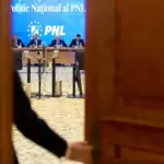 dosarul noului statut al pnl in impas dupa a doua abtinere judecatoarea desemnata suspendase anterior convocarea congresului 6a5e1f1e3d1f5