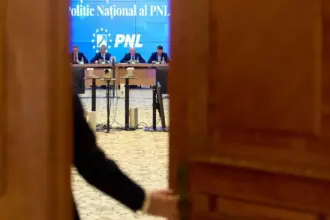dosarul noului statut al pnl in impas dupa a doua abtinere judecatoarea desemnata suspendase anterior convocarea congresului 6a5e1f1e3d1f5
