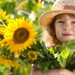 festivalul matache in culorile soarelui e in acest weekend f09f8cbbvor fi ateliere creative spectacole workshopuri florale si multe alte surprize pentru bucuresteni 6a4d2399033ce