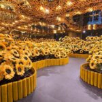 foto f09f8cbbthe sunflower room paradisul florilor din bucuresti e la mega mall instalatia inspirata din floarea soarelui lui van gogh poate fi vizitata gratuit pana in ultima zi de 355cff78