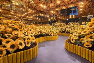 foto f09f8cbbthe sunflower room paradisul florilor din bucuresti e la mega mall instalatia inspirata din floarea soarelui lui van gogh poate fi vizitata gratuit pana in ultima zi de 355cff78