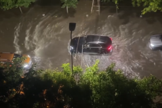 furtuna bucuresti