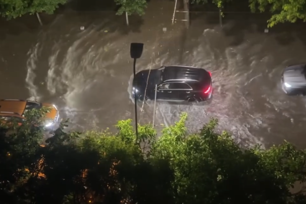 furtuna bucuresti