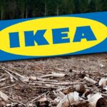 greenpeace padurile naturale din romania ajung mobila ikea in 13 tari europene 6a6862afc03d2