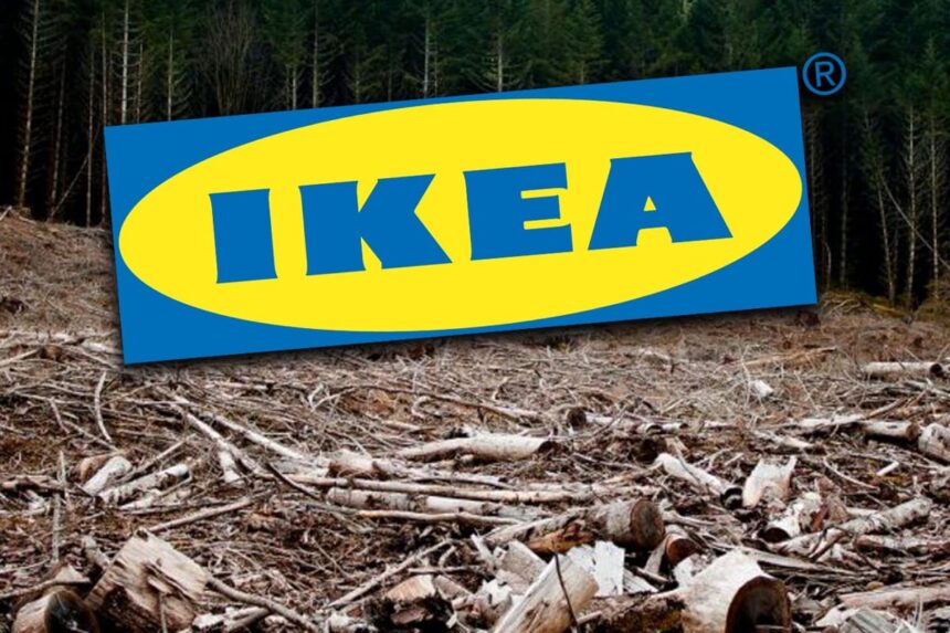 greenpeace padurile naturale din romania ajung mobila ikea in 13 tari europene 6a6862afc03d2
