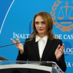 lia savonea castiga la ccr pe modificarea codului de procedura penala decizie luata in unanimitate 6a575a60492f7
