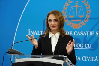 lia savonea castiga la ccr pe modificarea codului de procedura penala decizie luata in unanimitate 6a575a60492f7