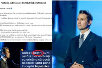 limba romana a doua victima la pnl cum s au inecat liberalii in i uri dupa esecul din instanta 6a4f5ae0f2baf
