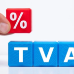 niculina stelea aur parlamentul sa prelungeasca regimul tranzitoriu privind cota redusa de tva 6a5dd8cea04a4