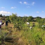 operatiunea ambrozia in parcul natural vacaresti bucurestenii sunt chemati la curatat buruiana inscrierile pentru voluntariat sunt deschise 6a621160ba88c