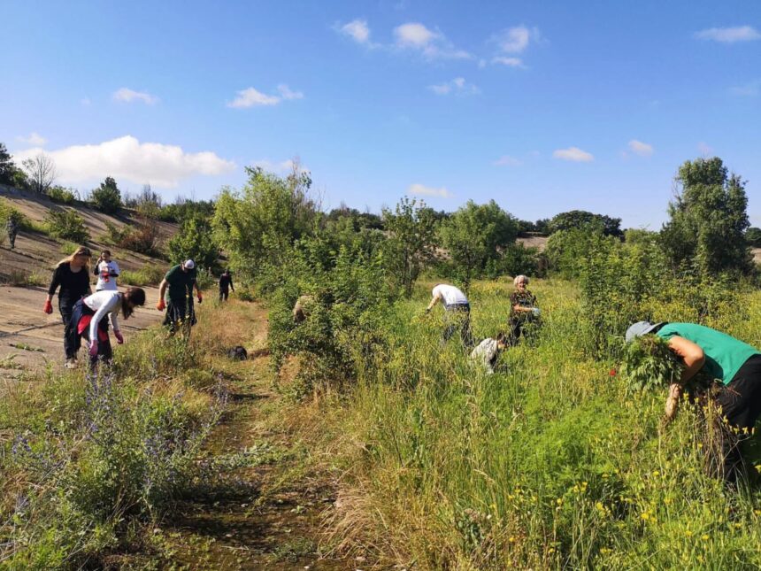 operatiunea ambrozia in parcul natural vacaresti bucurestenii sunt chemati la curatat buruiana inscrierile pentru voluntariat sunt deschise 6a621160ba88c
