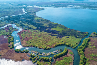 prefectul de tulcea cheama de urgenta corpul de control al primului ministru in delta dunarii situatia este una dezastruoasa si autoritatile locale nu reusesc sa fata fata 6a6c6bdaa3ecf