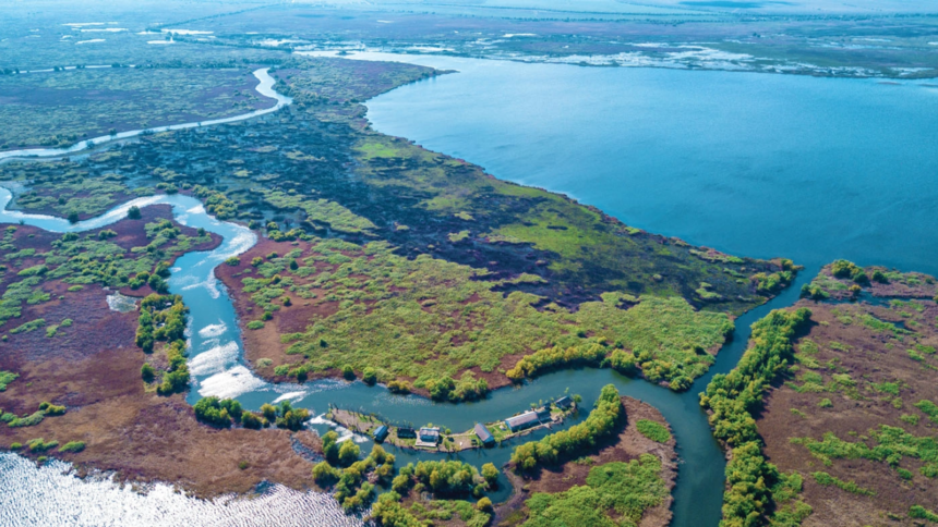 prefectul de tulcea cheama de urgenta corpul de control al primului ministru in delta dunarii situatia este una dezastruoasa si autoritatile locale nu reusesc sa fata fata 6a6c6bdaa3ecf
