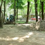 sector 1 aproape 8 000 de metri patrati de spatii verzi din pajura vor fi reamenajati 6a597f90d469f