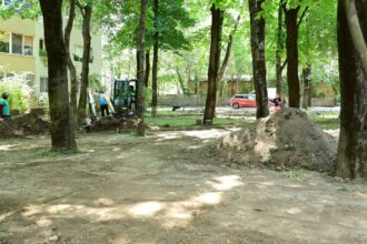 sector 1 aproape 8 000 de metri patrati de spatii verzi din pajura vor fi reamenajati 6a597f90d469f