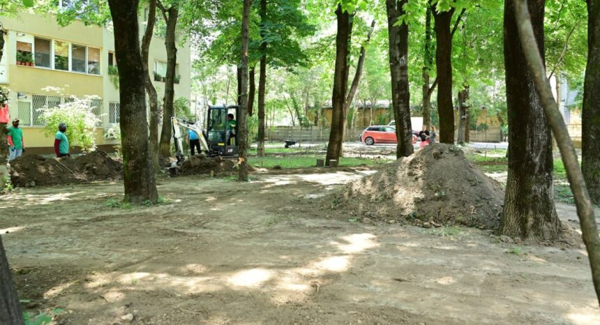 sector 1 aproape 8 000 de metri patrati de spatii verzi din pajura vor fi reamenajati 6a597f90d469f