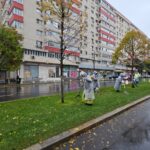 uriasa suma pe care o cheltuie primariile din bucuresti pe tuns iarba si plantat copaci 1 miliard de euro 6a4ec96519337