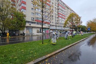 uriasa suma pe care o cheltuie primariile din bucuresti pe tuns iarba si plantat copaci 1 miliard de euro 6a4ec96519337